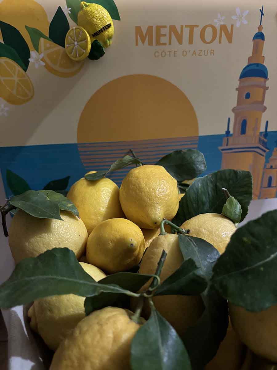 citron-de-menton citron-de-menton